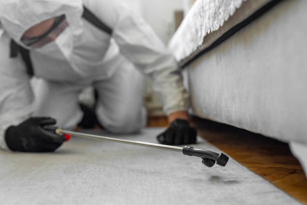 Professional Cockroach Control technician working in Gamewell, NC
